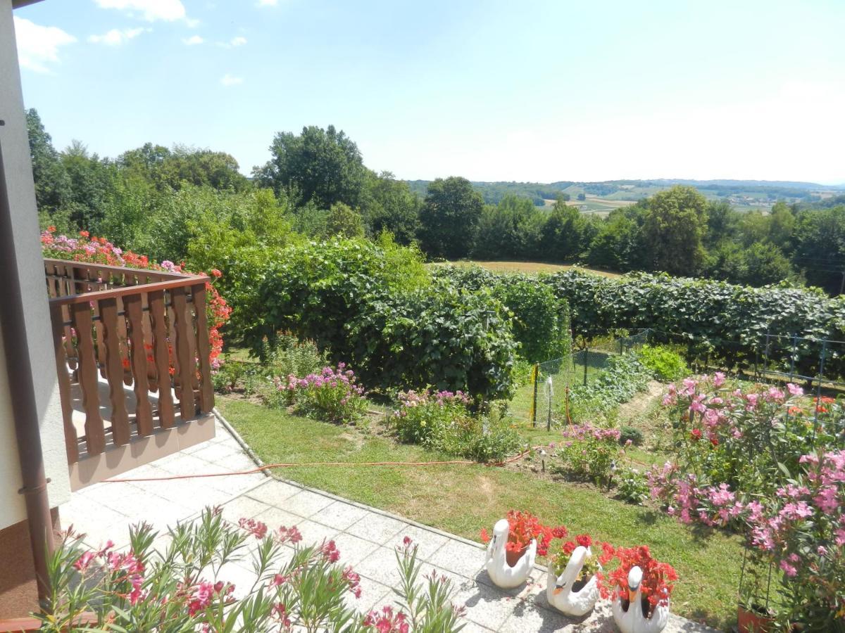 Urlaub Fuer Die Seele - Erholung Pur In Der Natur - Ferienhaus Mit Infrarotkabine & Relax-Raum Rucmanci Zewnętrze zdjęcie
