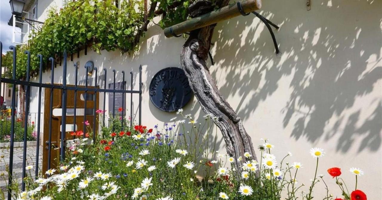 Urlaub Fuer Die Seele - Erholung Pur In Der Natur - Ferienhaus Mit Infrarotkabine & Relax-Raum Rucmanci Zewnętrze zdjęcie